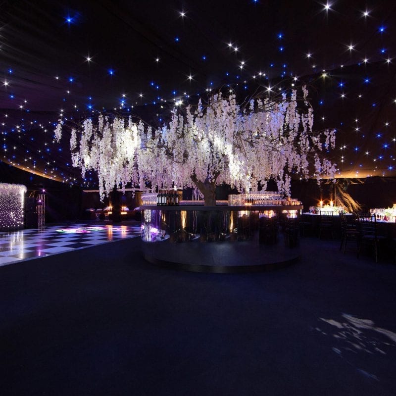 big marquee with white blossom tree