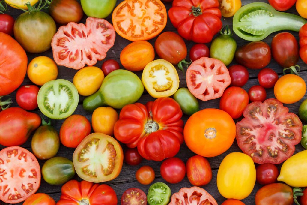 Tomatoes in different colors