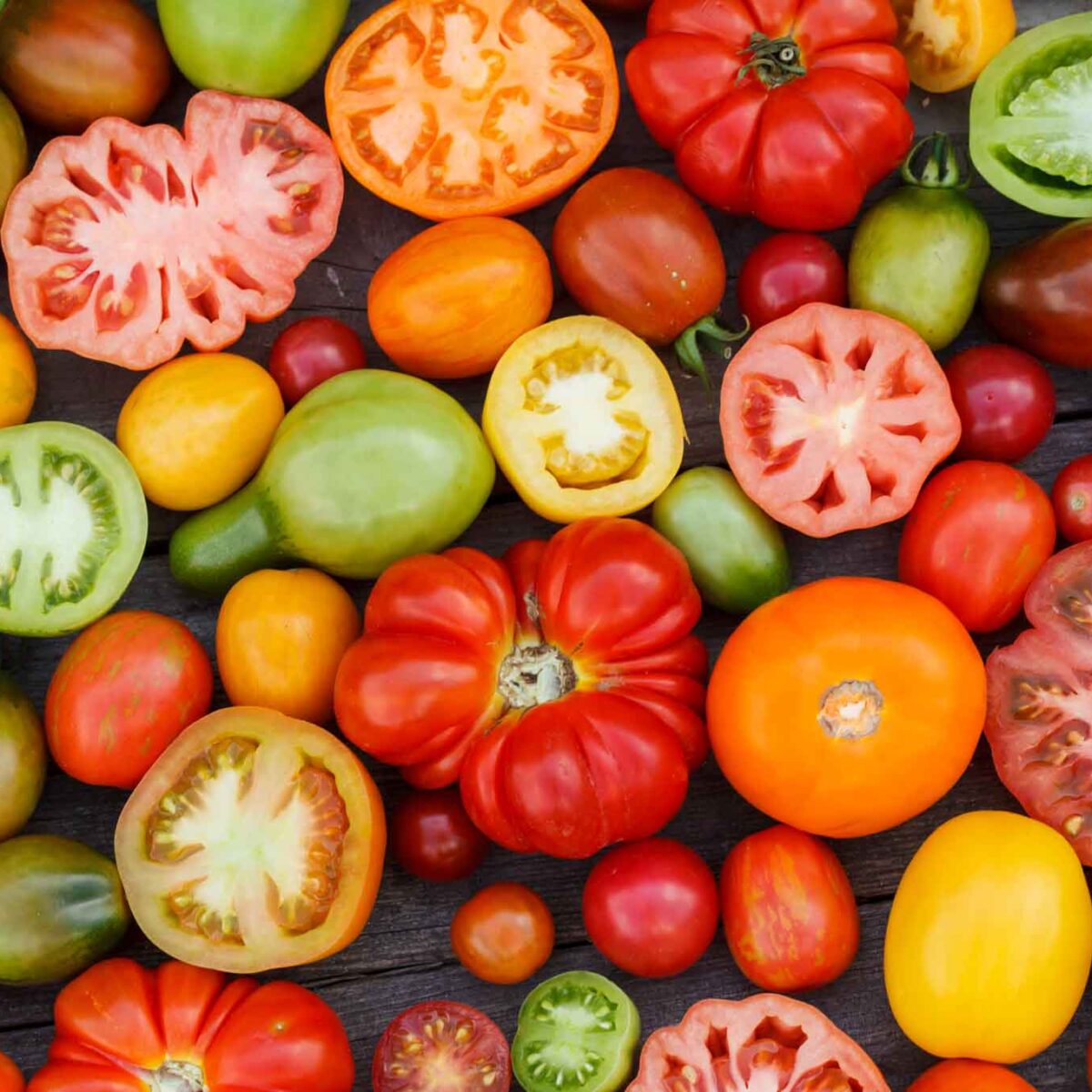 Tomatoes in different colors